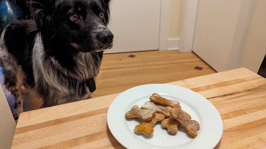 Easy pumpkin dog cookies